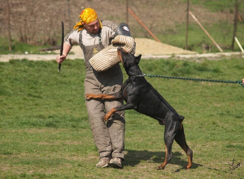 Santa Julf Efrat - training 4. 4. 2007